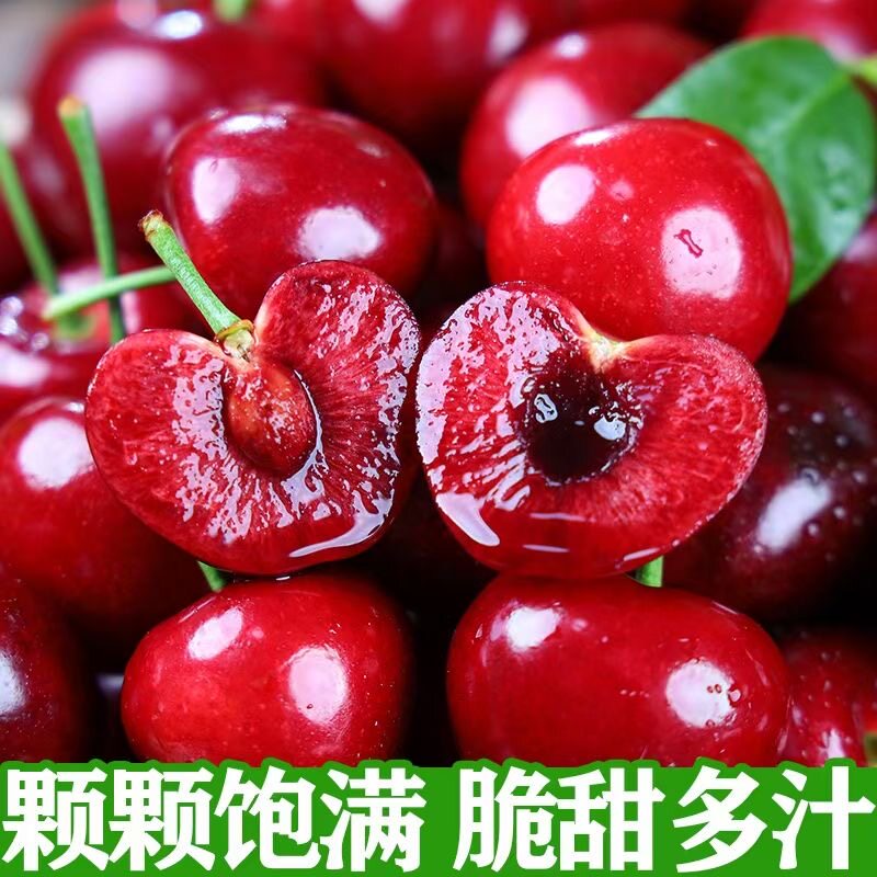 【产地直发】甘肃天水大樱桃红灯车厘子烟铺核心产区果园现摘现发
