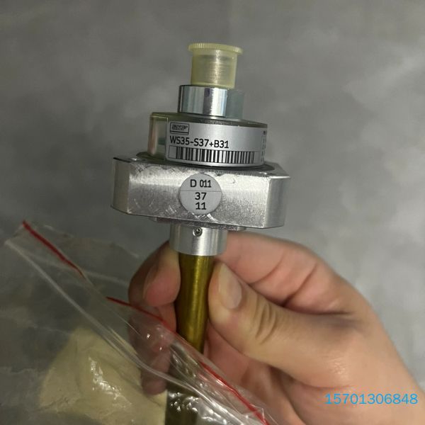 【顺庆】SKF斯凯孚WS35-S37+B31浮球浮子液位开关,液位计【议价】