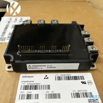 【顺庆】PM200RSE060  PM300RSE060 成色新 包【议价】