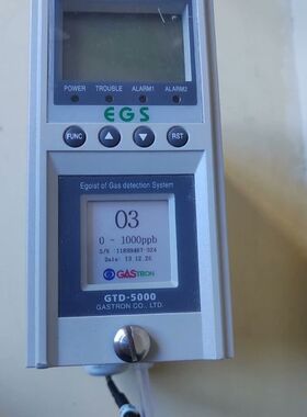【顺庆】GASTRON 韩国气体泄漏检测仪 GTD-5000  DC【议价】
