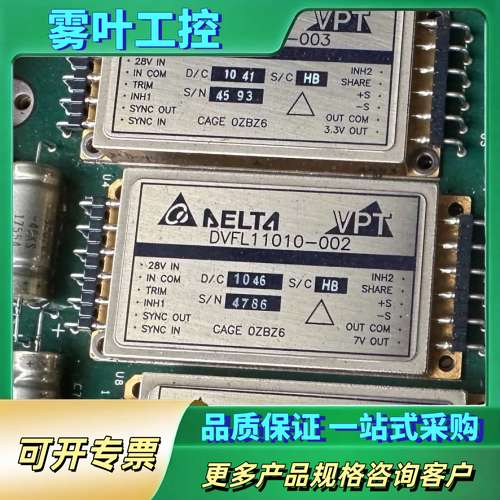 台达VPT电源模块DVFL11010-002、13010-0【议价】 - 实物图