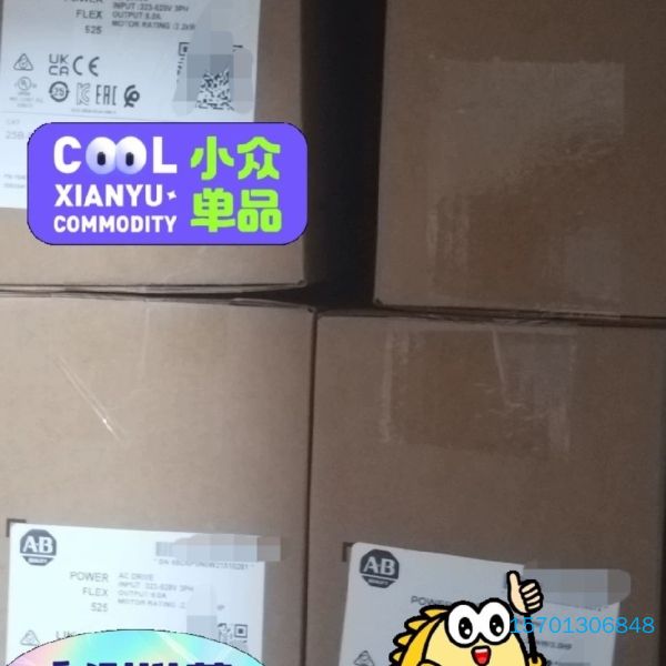 【顺庆】罗克韦尔  2198—C4004-ERS   2198—C4【议价】