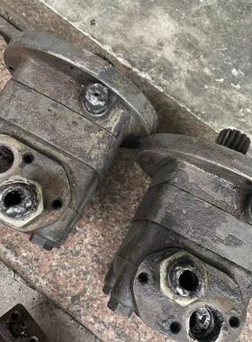 【顺庆】拆机萨奥丹佛斯摆线马达OMTS315二个，成色如图看清楚，