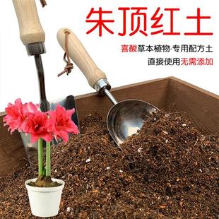 朱顶红土朱顶红专用土酸性营养土椰糠泥炭土壤球根植物种植土花肥