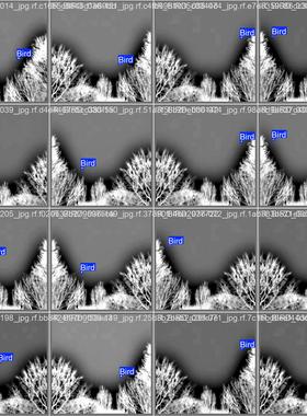 DL00913-目标检测红外鸟类检测数据集yolo txt格式