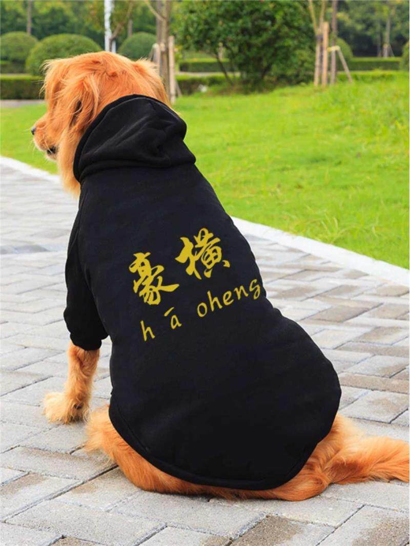 大狗狗衣服秋冬装金毛拉布拉多哈士奇阿拉斯加边牧中型大型犬卫衣