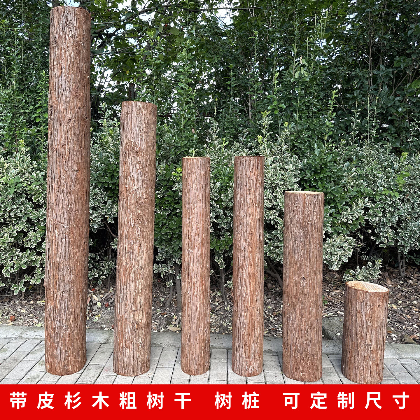 带皮杉木树桩粗树干原木柱子摆件装饰橱窗道具空心木墩子拍摄道具