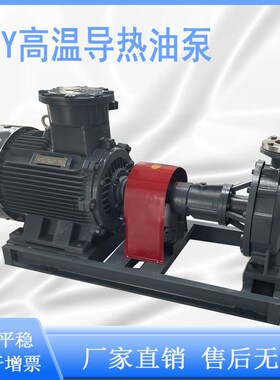 新款高温导热油泵RY25-25-160/RY32-32-160/RYN40-25-160/50-3现