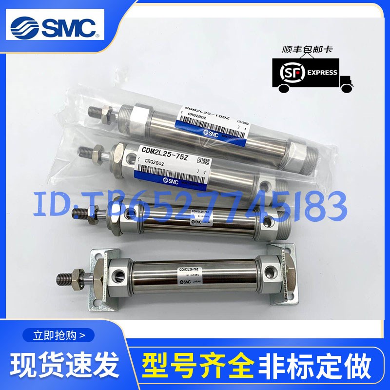 SMC杆不转气缸CQSKB/CDQSKB20/25-10-15-20-25-30-35-V40-45DZ DM