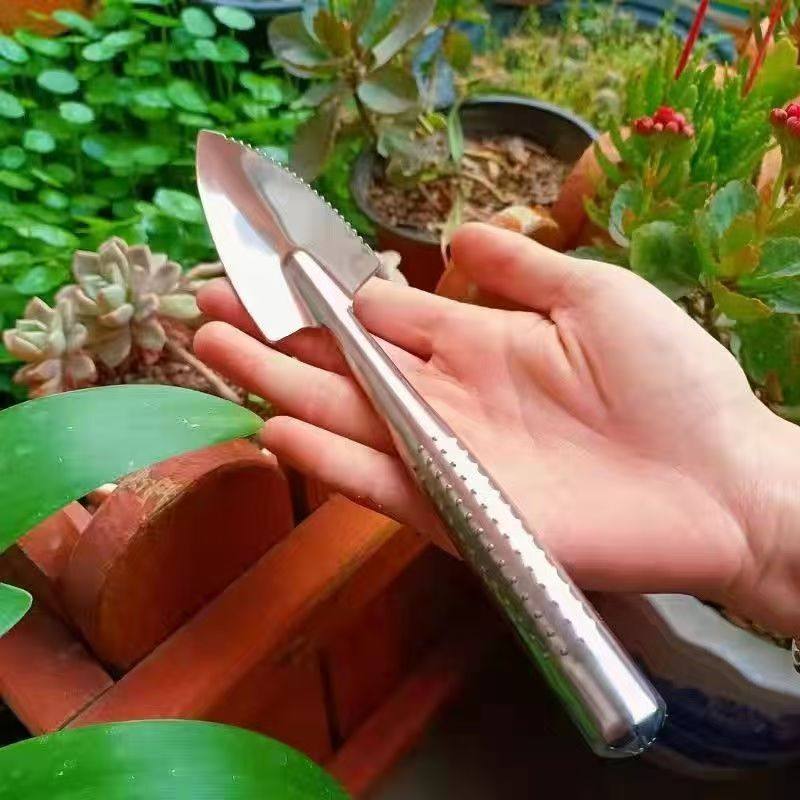种菜神器锰钢小铲子种花养花种菜工具挖野菜花卉除草挖土铁铲铁锨,户外/登山/野营/旅行用品,工兵铲/工兵锹,淘宝优惠券,粉丝福利购,淘宝优惠卷