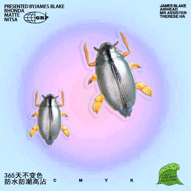 金属光泽亮黑色圣甲虫骑行头盔手机壳玻璃车尾箱油箱盖防水贴纸