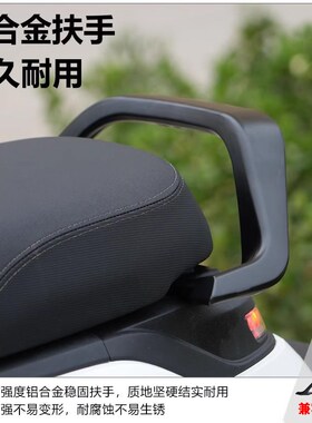 适用九号电动车N385C/N370CC后座扶手铝合金后扶手后靠背改装配件