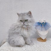 宠物猫咪狗狗复古重工仙气公主围脖布偶网纱NQ水钻口水巾围嘴饰品