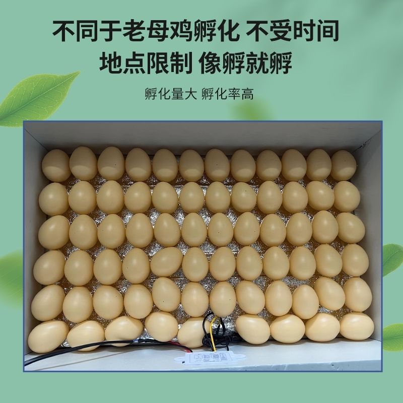 新疆包邮孵化器孵蛋机小