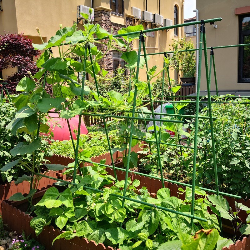 极速种菜用的架子庭院豆角黄x瓜架爬藤架户外阳台网丝瓜葡萄攀爬