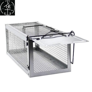 senstitivity clp mouse 极速the rat high trap tra weasel