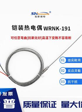WRNK-191铠装热电偶 可弯曲探针式热电阻 耐高温1100炉温检测探头