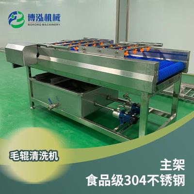 毛辊清洗机 高压毛刷清洗机 平板 连续毛刷清洗机 橙子 柠檬毛棍