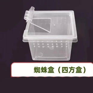 爬虫饲养小乌龟冬眠箱爬宠透明透气蚕宝宝饲养盒大中小号专用盒子