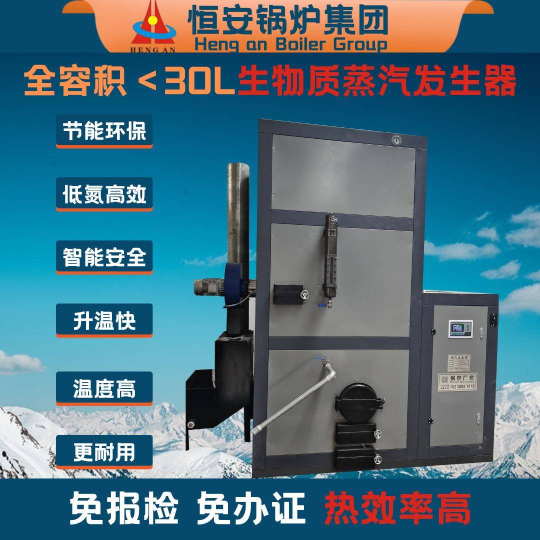 现货供应0.1吨0.2吨0.吨0.5吨0.7吨D级免报检生物质蒸汽锅炉厂家