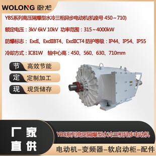 YBS-450-6560W气体防爆电机增压型电机增安型电机复合型电机