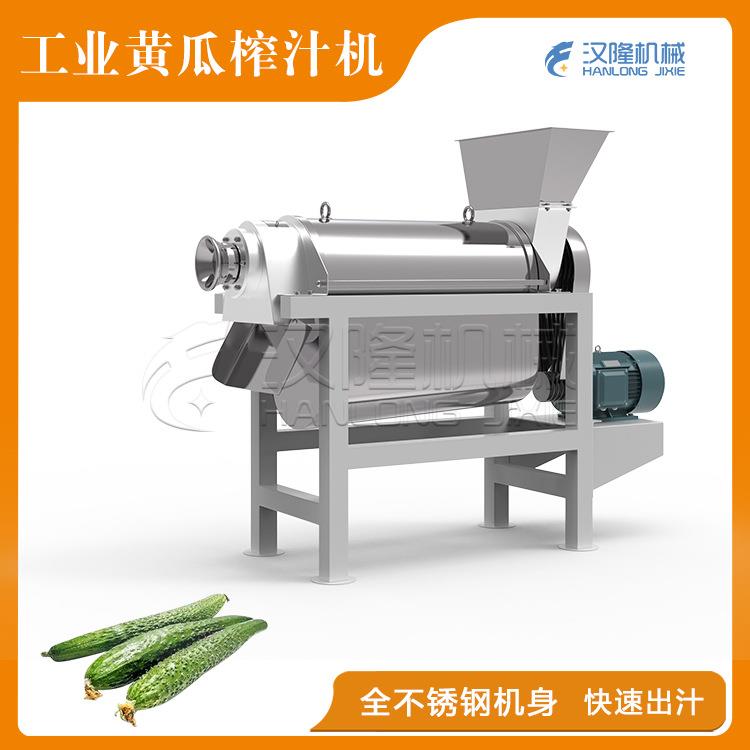厂家直销全自动不锈钢小型工业榨汁机果蔬榨汁机黄瓜螺旋榨汁机