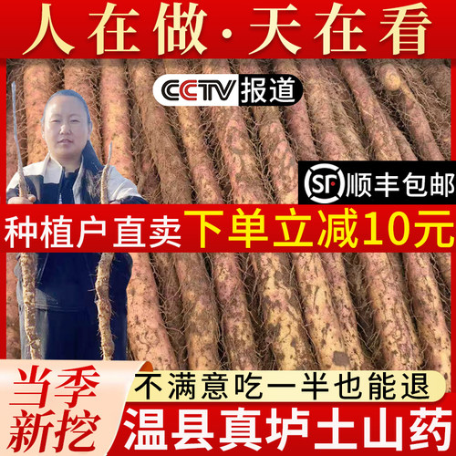 焦作温县垆土种植铁棍山药怀山药