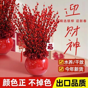 极速银柳真花鲜枝年宵q花卉七多彩大红色银柳干花柳枝水养装饰招