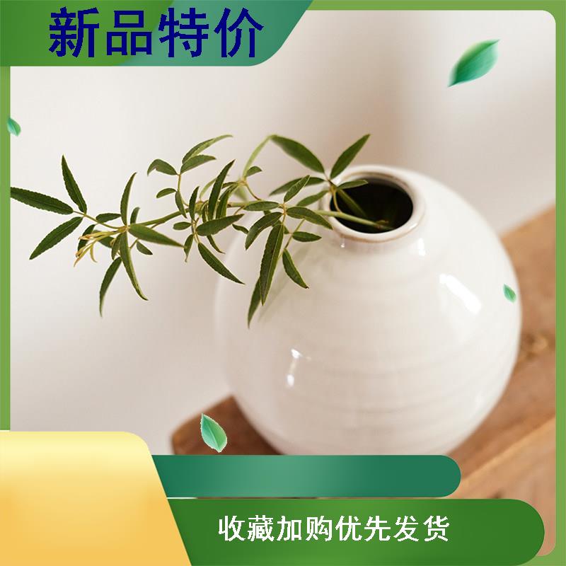 极速白瓷中式迷你陶瓷小花u瓶粗陶圆白色小口侘寂风禅意陶罐花器