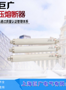 极速XRNT1e-40.5/63A 80A 100A 150A 200A250A 35KV高压限流熔断