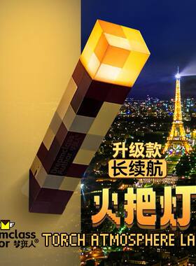 MC我的世界小夜灯火把灯玩具充电挂墙火炬矿灯变色瓶氛围壁灯