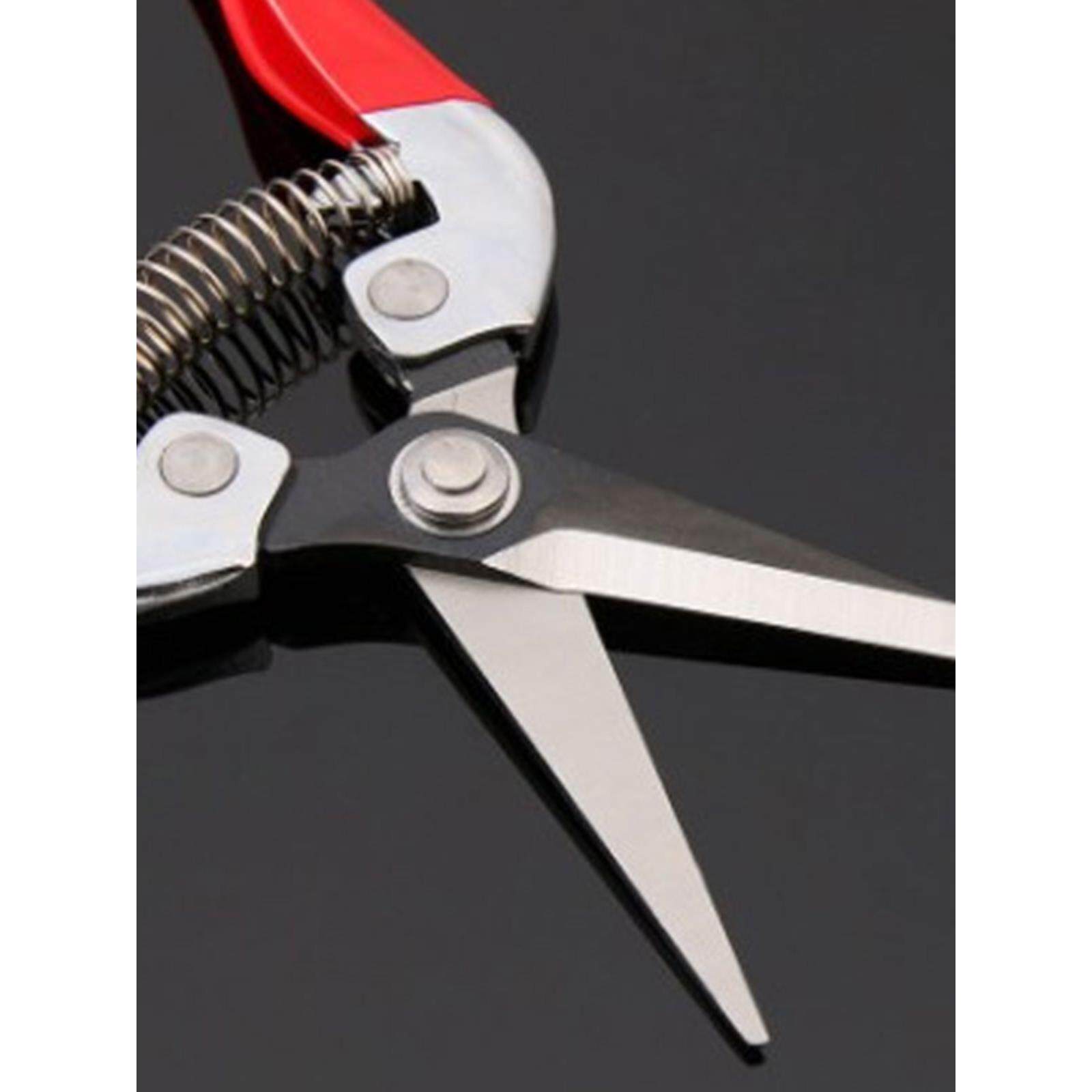 多功能专用摘果剪稀果剪摘葡萄树枝剪省力园艺剪刀花卉木家用套装