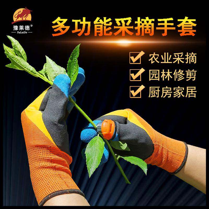 采红花掐尖掐菜神摘辣椒摘花椒手套摘花椒神器摘菜拇指刀指甲套