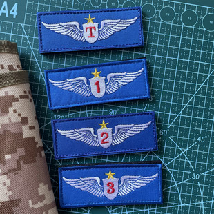 航空飛行員胸章精美刺繡立體士氣章臂章魔術貼徽章背包貼沖鋒衣貼