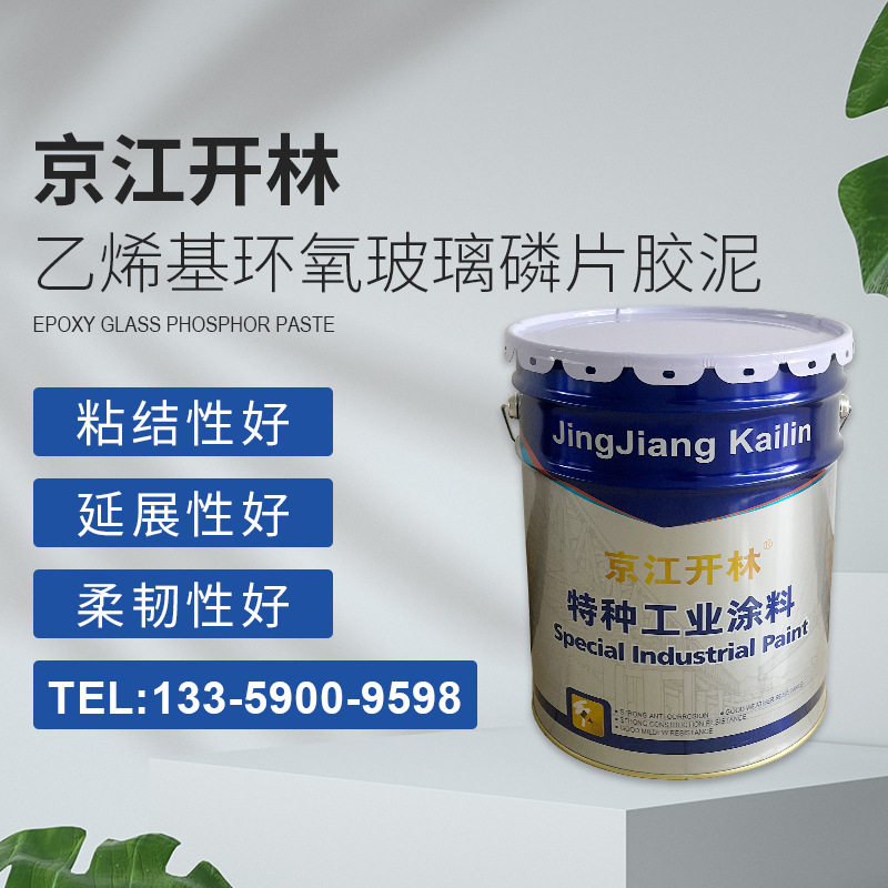 乙烯基类系列涂料 乙烯基环氧玻璃磷片胶泥 厂家供应 量大价优