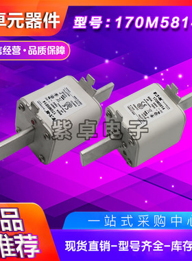 170M4866D/4867D/5814D/5820D/5816D/5817D伊顿巴斯曼快速熔断器