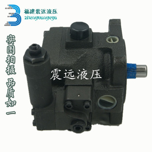 50S ANSON叶片泵 VP5F