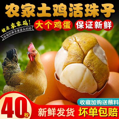 新鲜13天活珠子鸡胚蛋熟食开袋即食熟钢化蛋毛蛋毛鸡蛋零食辣五香