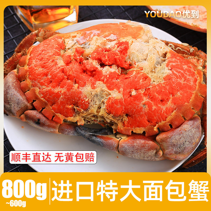 超大面包蟹帝王蟹鲜活熟冻特大螃蟹海蟹新鲜海鲜水产黄金蟹珍宝蟹