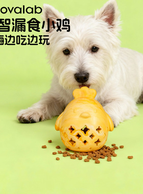 MoovaLab么哇 狗狗玩具磨牙洁齿嗅闻训练益智藏食丰容玩具漏食球