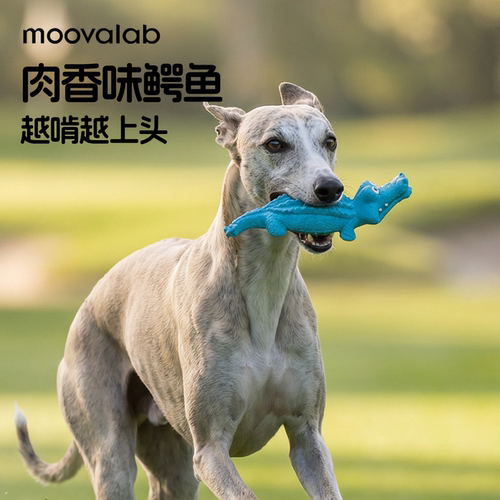 MoovaLab宠物玩具磨牙洁齿