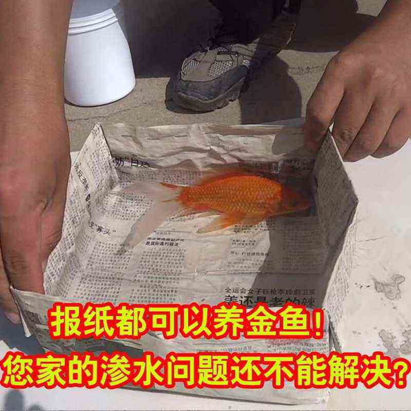 速发18年新款2018雨纯防水涂料漏水屋顶透明卫生间外墙防水胶剂补