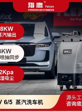 猎鹰STV6/5蒸汽喷抽一体清洗机即热式汽车内饰顶棚发动机外观清洁