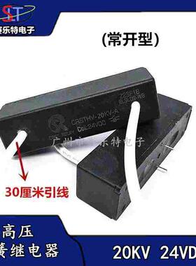 CRSTHV-20KV-A(常开型)24VDC高压干簧继电器(带引线30CM) 继电器