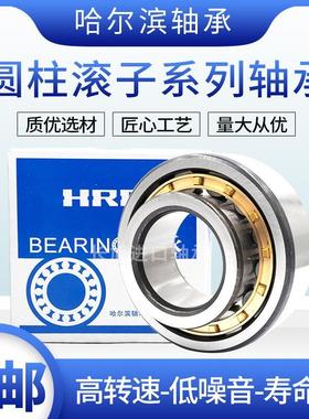 哈尔滨轴承RN204 205 206 207 208 209 210 211 212 219 222 228M