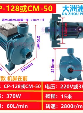 CP-128 158 CM-50 100冷C水机离心泵 家用清水泵 耐高温冷热水循