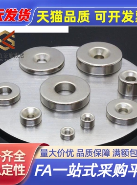 竞盾/BLS65/66/67/68-A6/A10/A12-T2/T3/T4/T4.5/T5/T6带孔磁铁