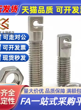 FFL11-D3/D4/D5/D6-L15/L20/L25拉伸弹簧支柱 带扁方全牙型SAIPOK