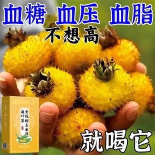 【正品】的茶胆固醇喝什么血液血栓青钱柳桑叶茶四川健康