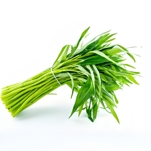 大叶空心菜种子白梗通心菜种籽阳台庭院盆栽四季高产易种蔬菜种孑